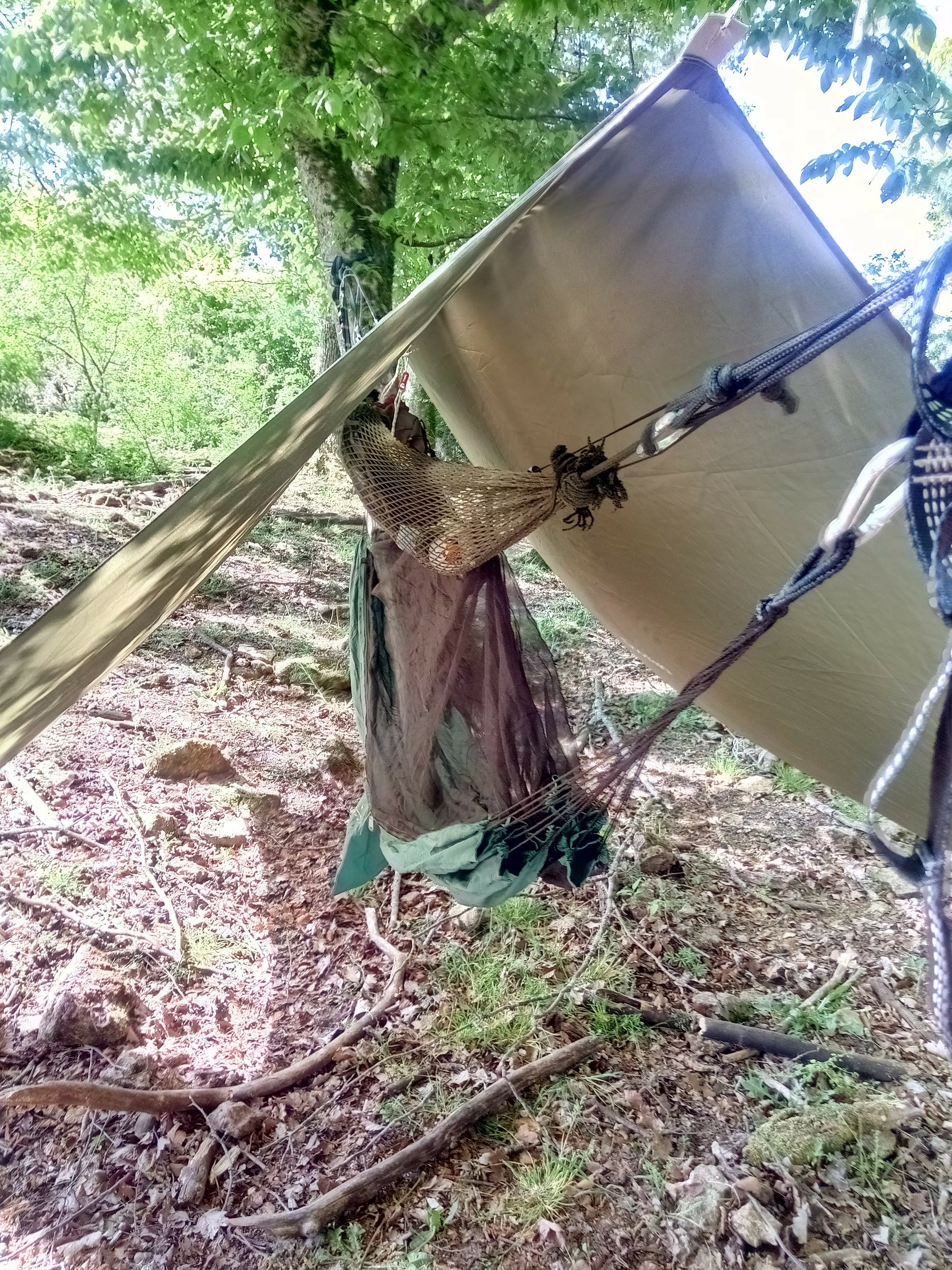 Vue du Hamac sous tarp