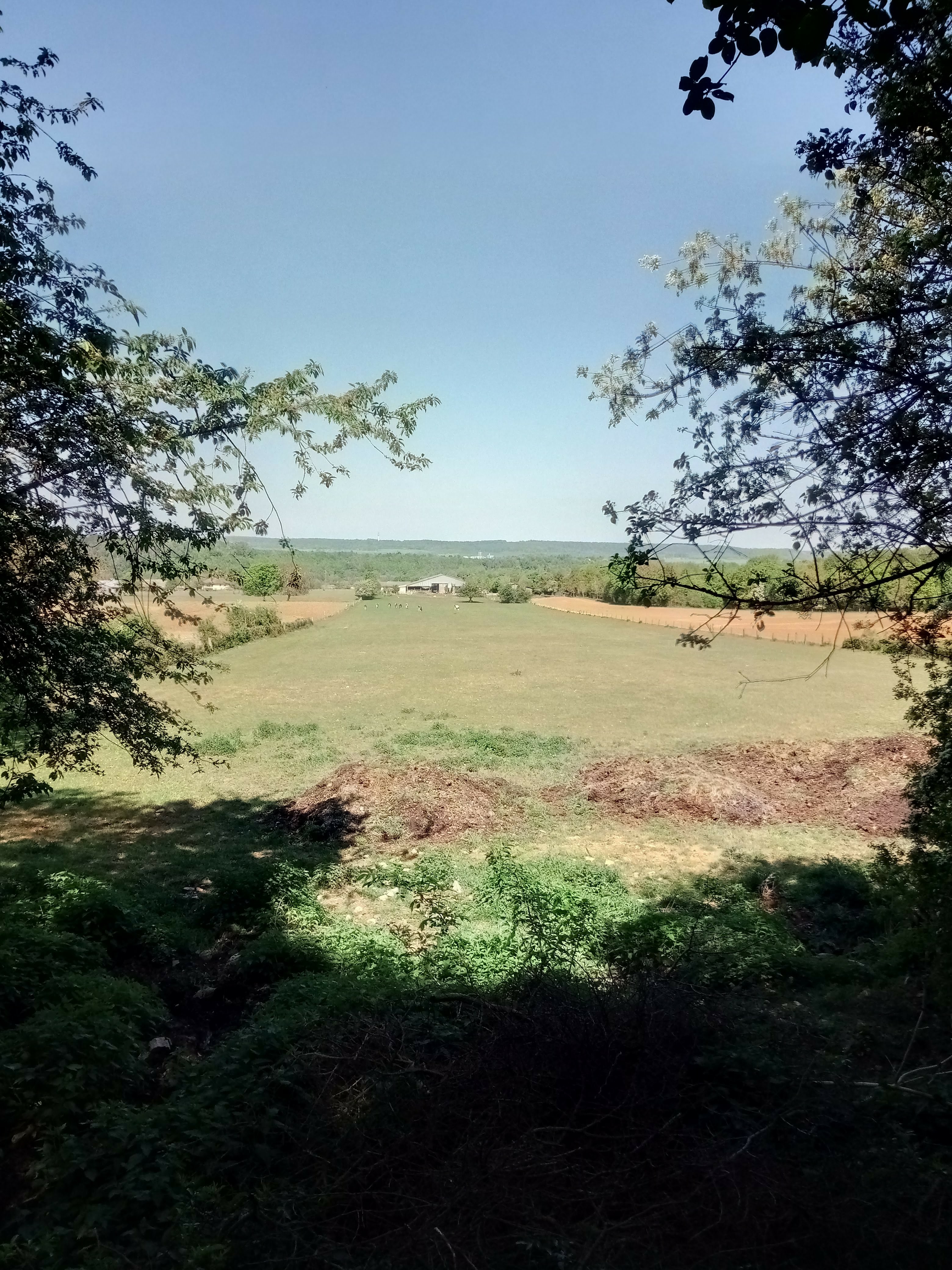 Vue du paysage